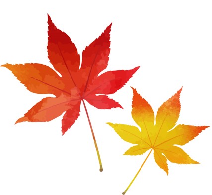 紅葉するのってどんな木？今月のタイピングに「紅葉」「雲の種類」コース追加しました。の記事に関する画像